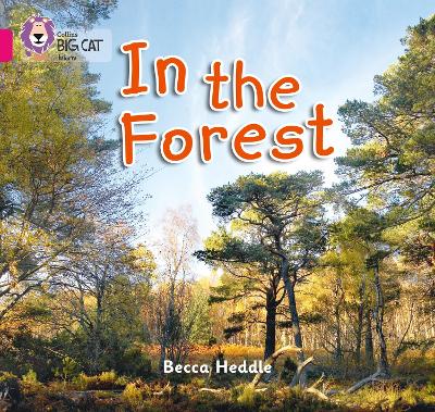 In The Forest: Band 01B/Pink B (Collins Big Cat)