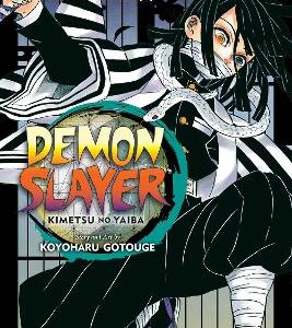 Demon Slayer: Kimetsu No Yaiba, Vol. 19: Volume 19