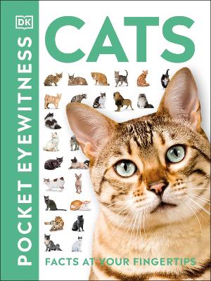 Cats: Facts At Your Fingertips